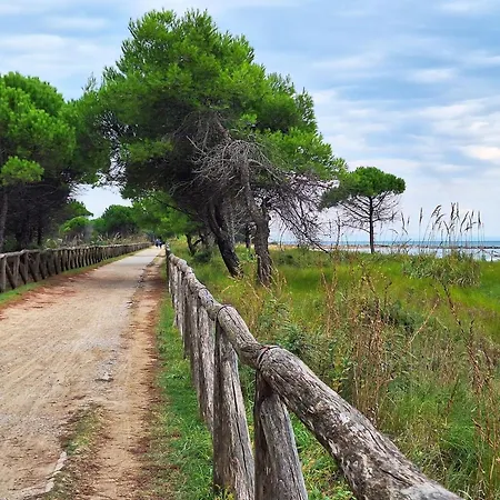 Lovely Flat Next To The Beach And The City Centre Apartment Bibione